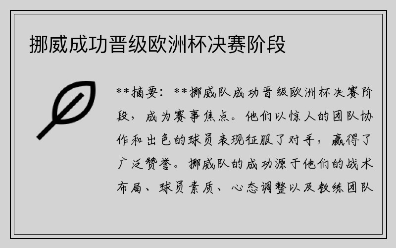 挪威成功晋级欧洲杯决赛阶段